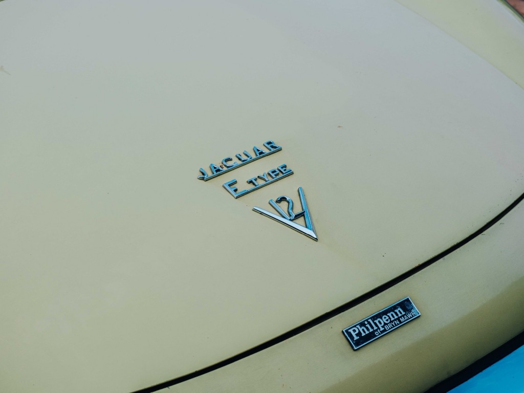 47224692-15.jpg