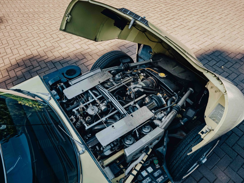 47224692-22.jpg