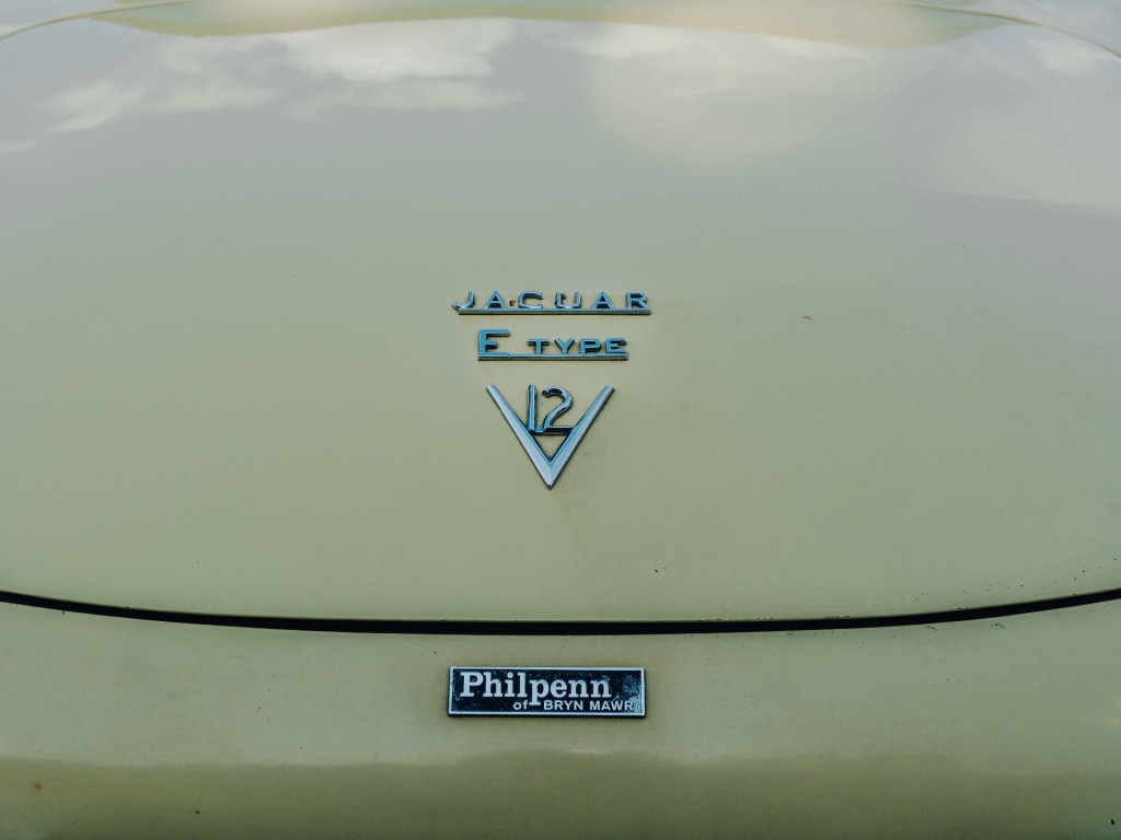 47224692-36.jpg