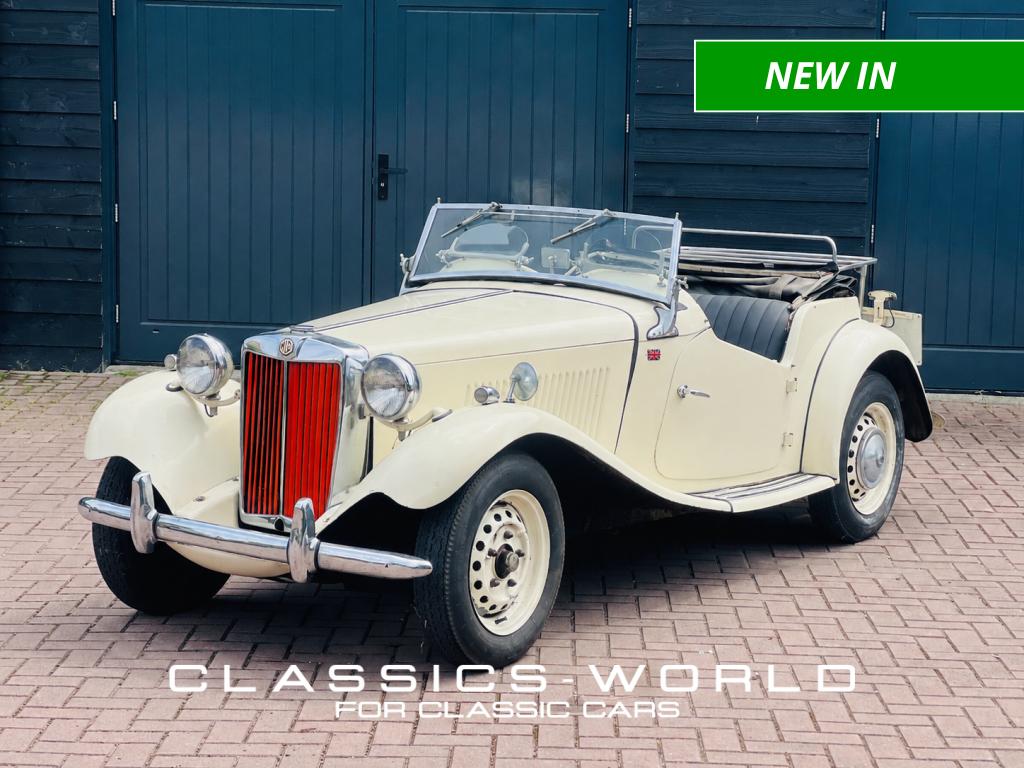 55355684
